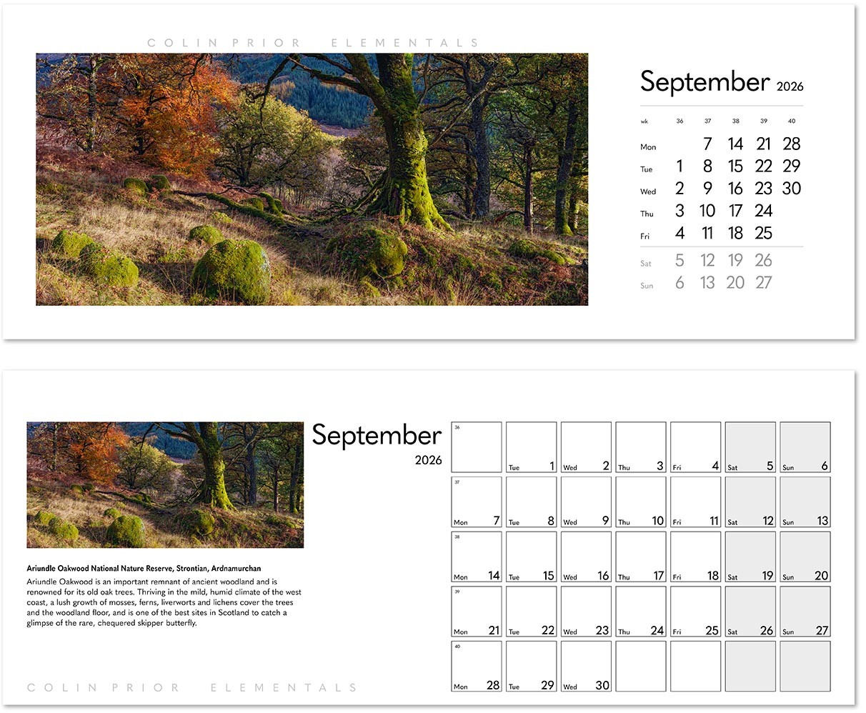 Colin Prior Elementals Desk Calendar