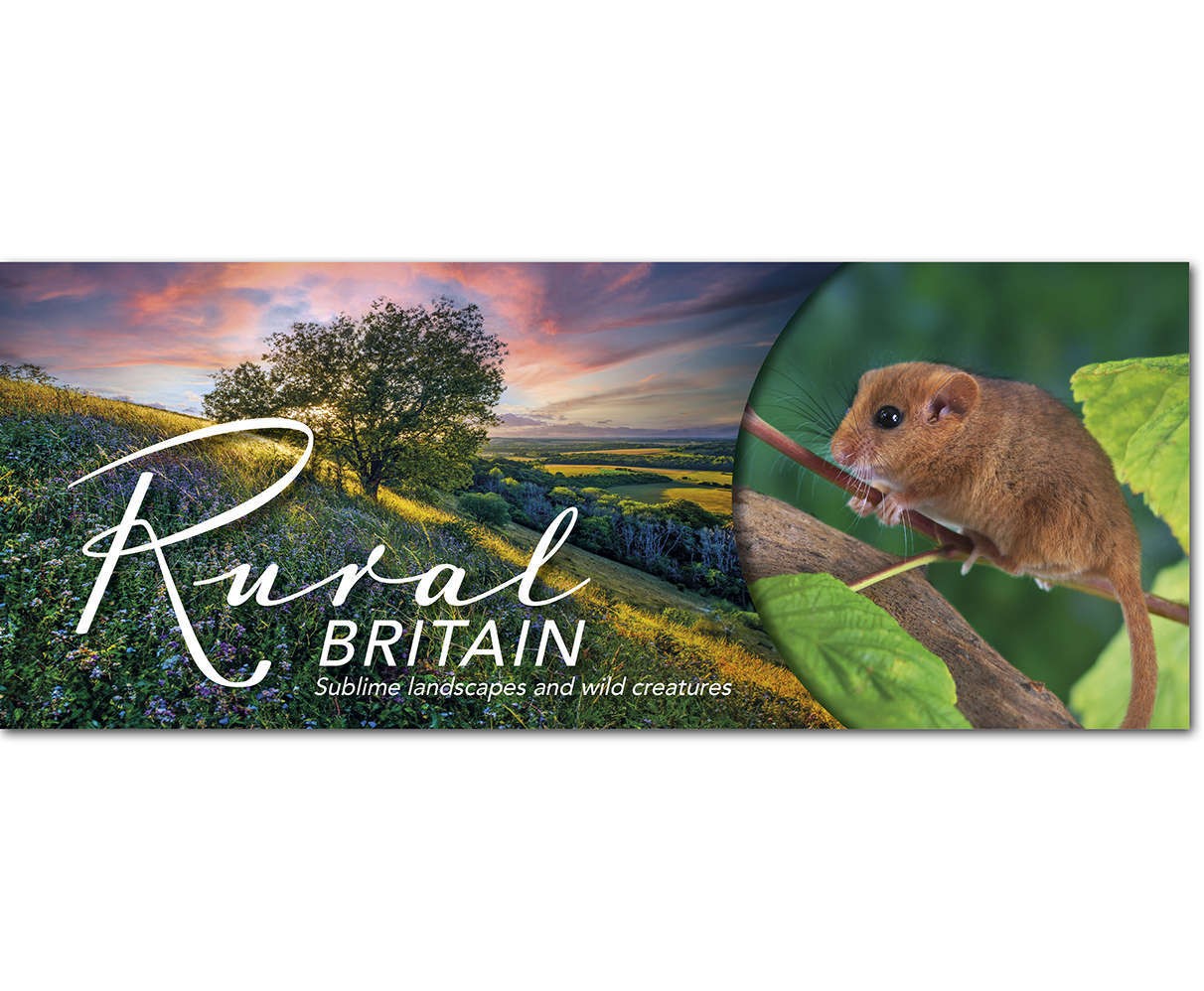 Rural Britain Desk Calendar