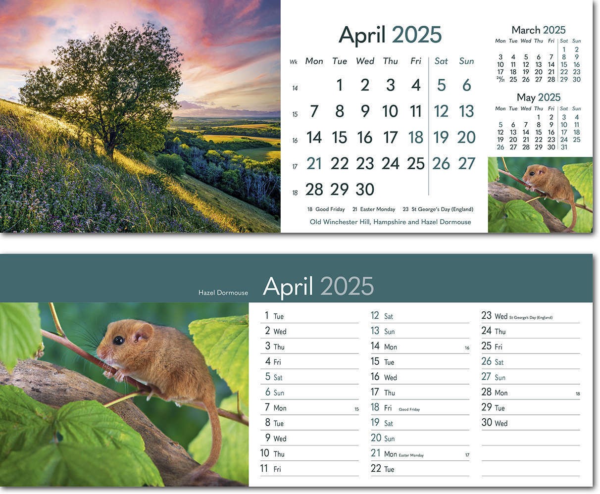 Rural Britain Desk Calendar