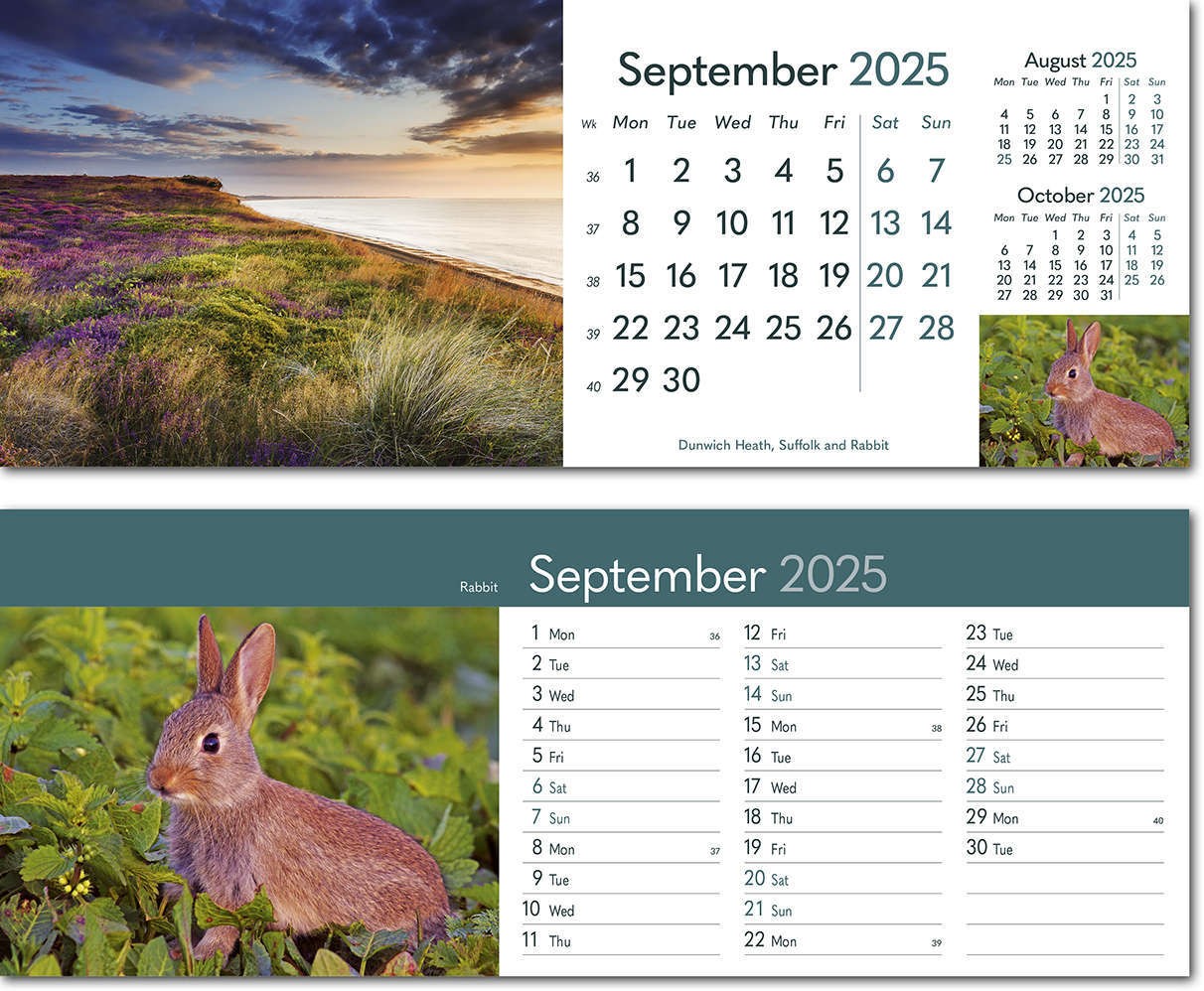 Rural Britain Desk Calendar