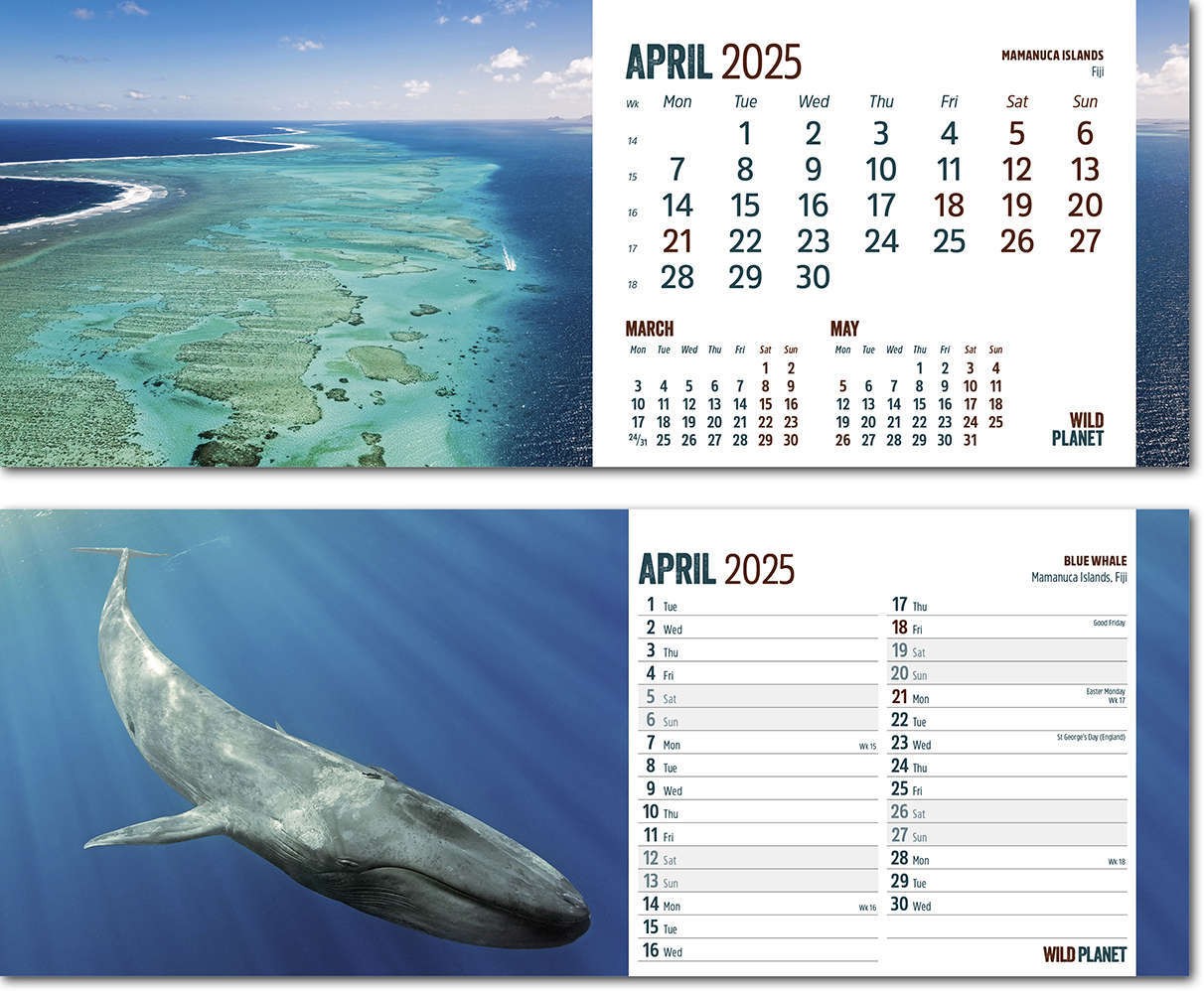 Wild Planet Desk Calendar