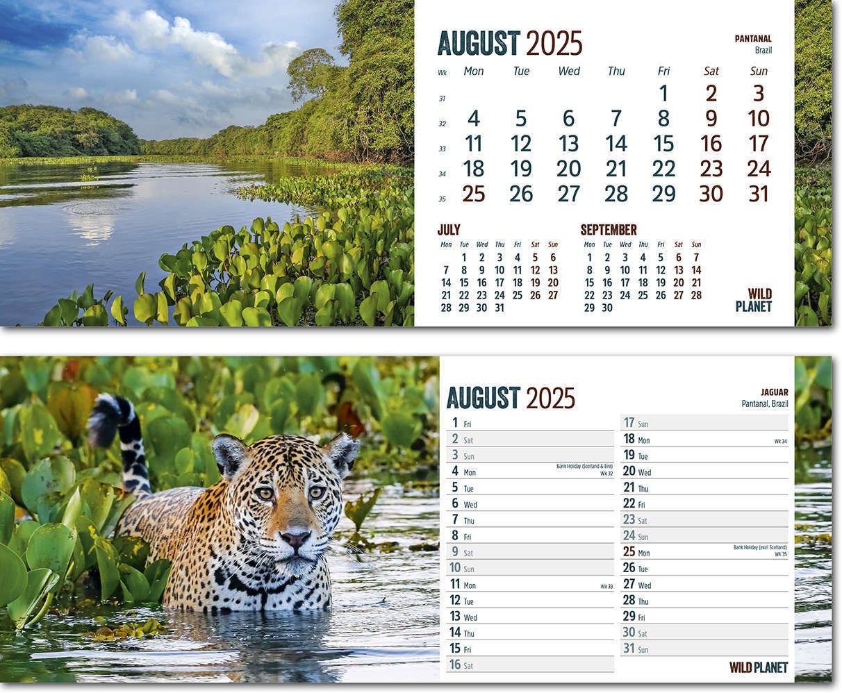 Wild Planet Desk Calendar