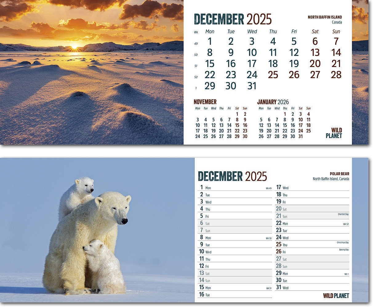 Wild Planet Desk Calendar