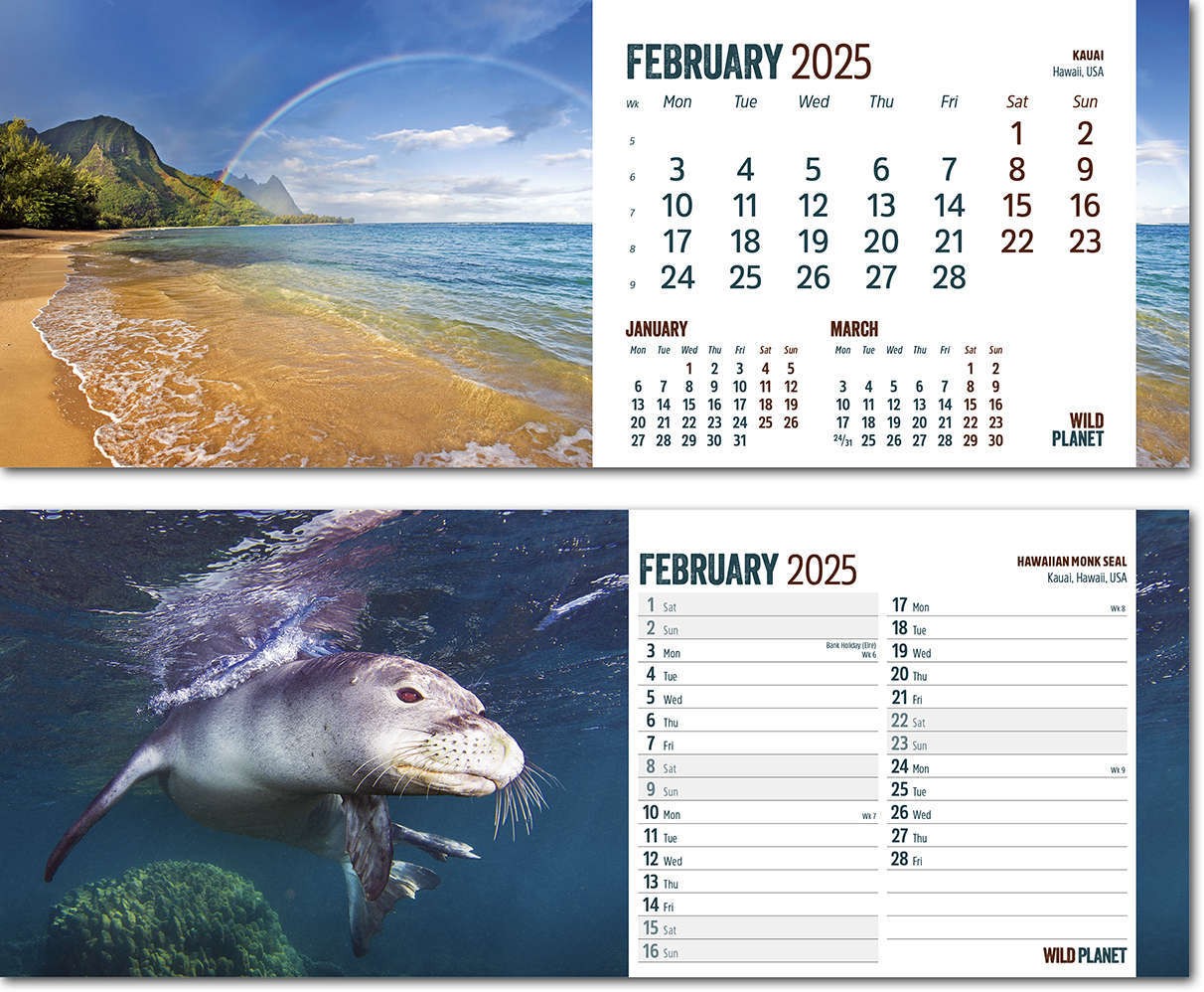 Wild Planet Desk Calendar