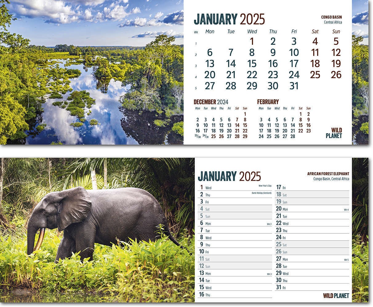 Wild Planet Desk Calendar