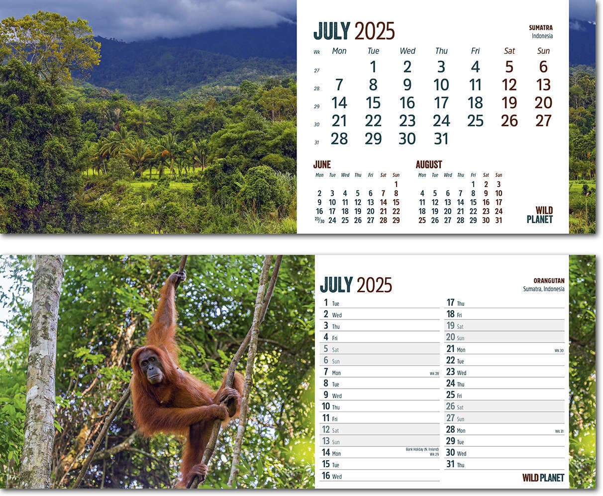 Wild Planet Desk Calendar