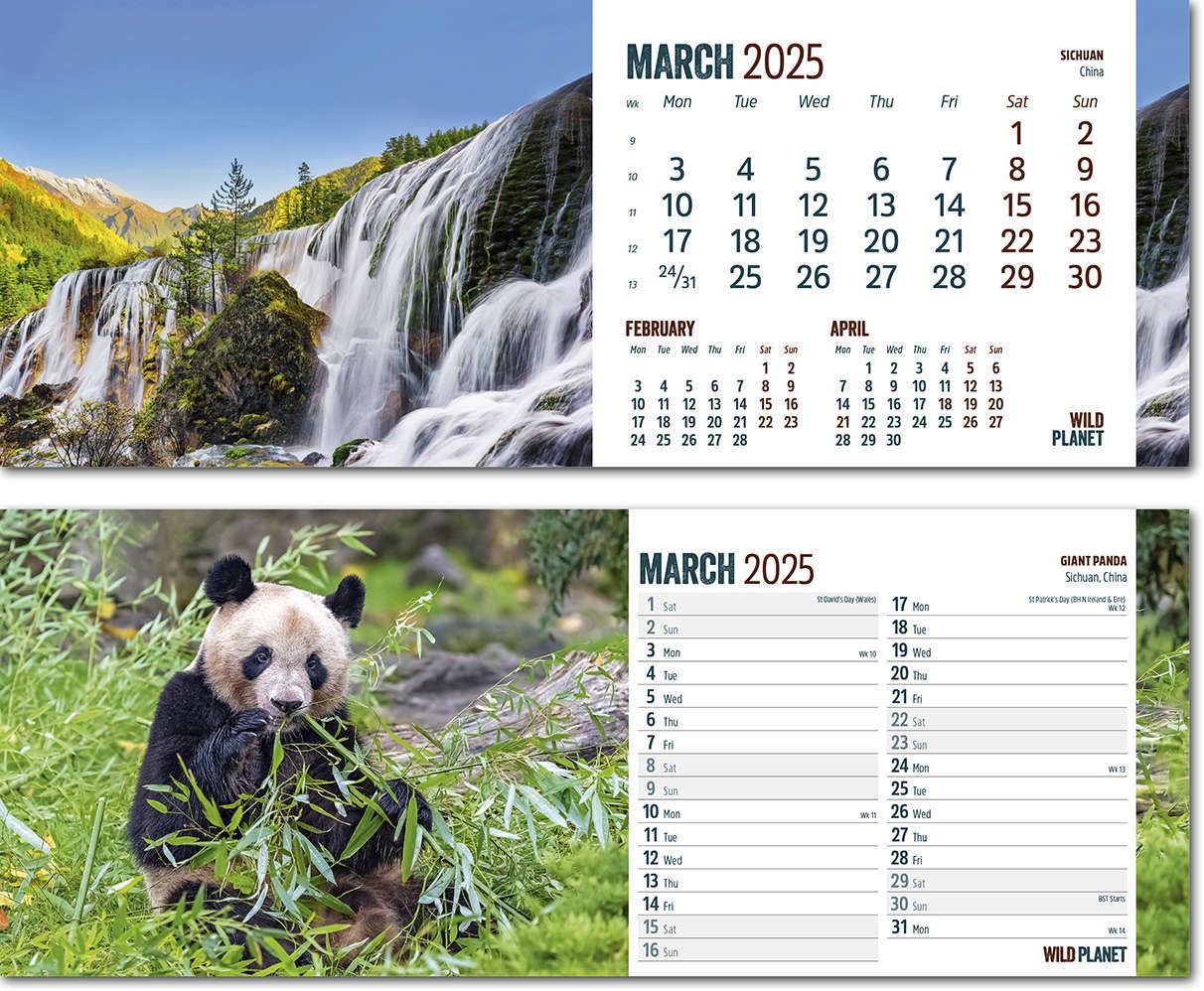 Wild Planet Desk Calendar