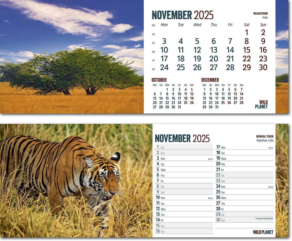 Wild Planet Desk Calendar