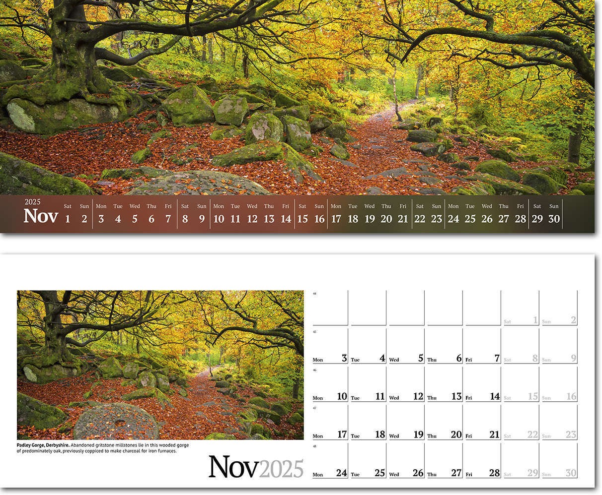 Wild Britain Premium Lined Easel Desk Calendar