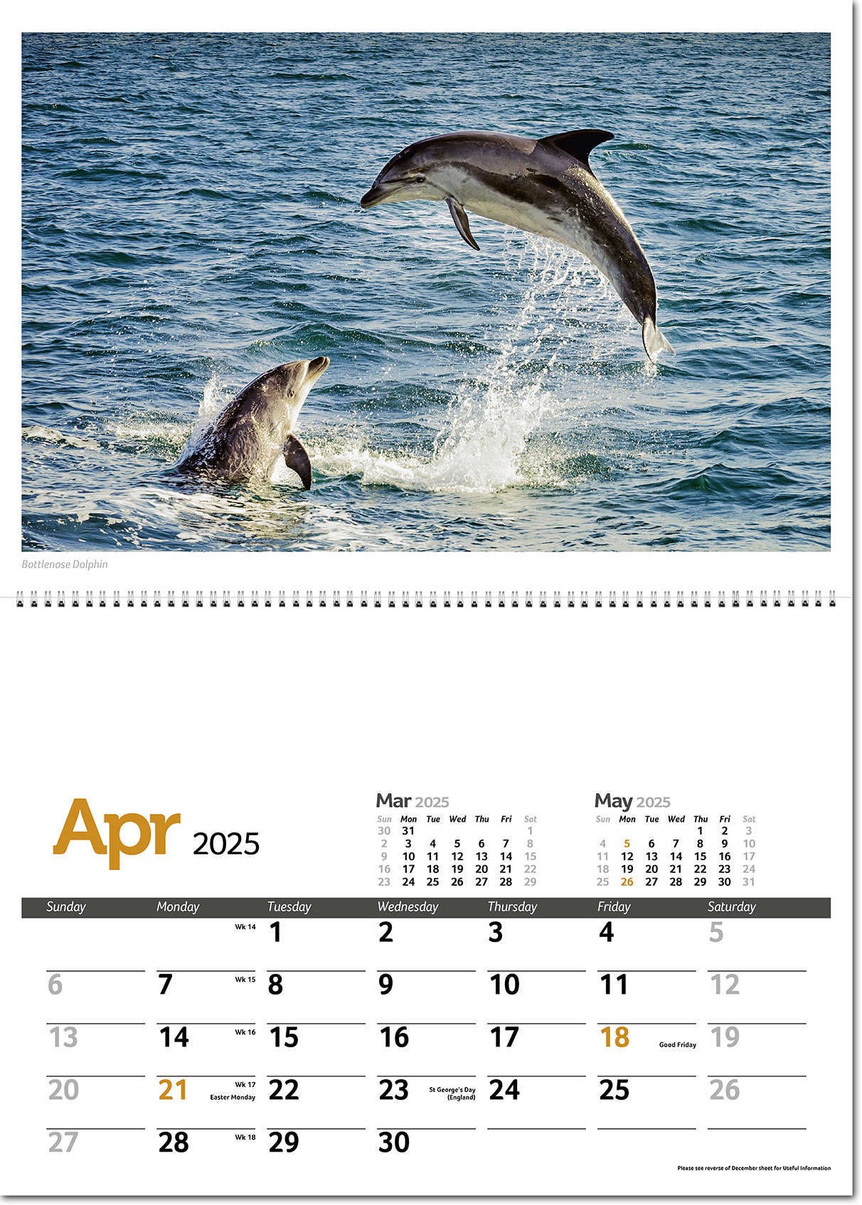 Wildlife in Britain Postage Saver Calendar