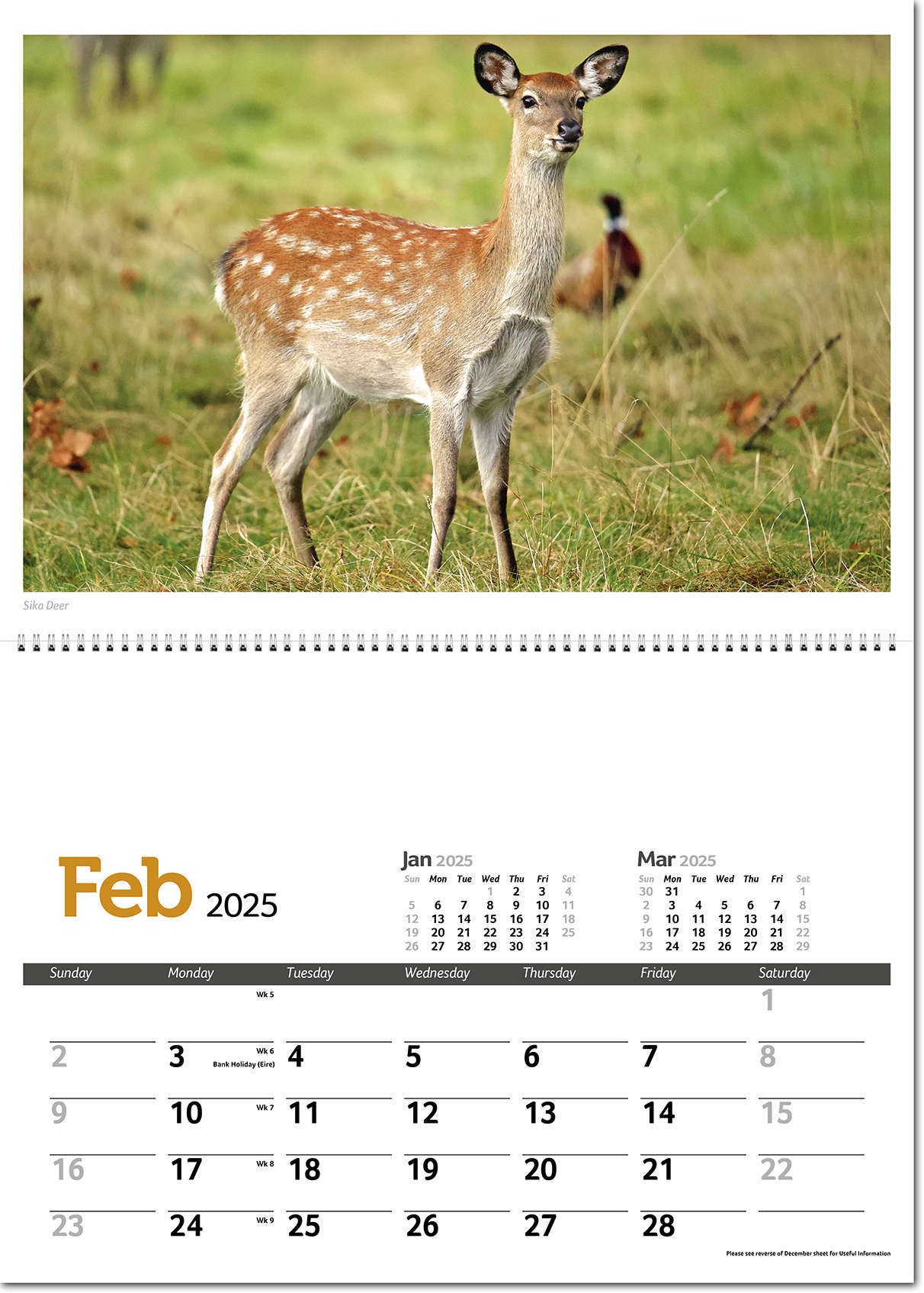 Wildlife in Britain Postage Saver Calendar