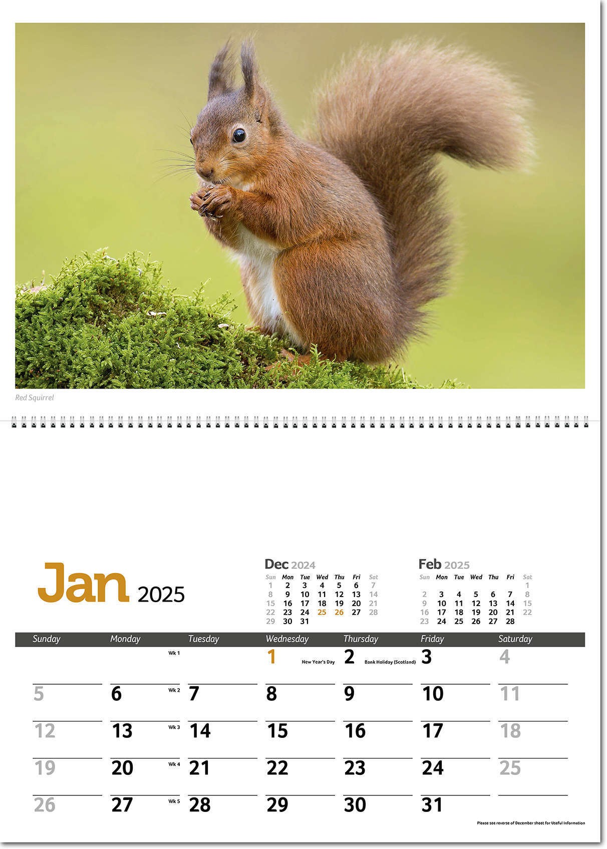 Wildlife in Britain Postage Saver Calendar