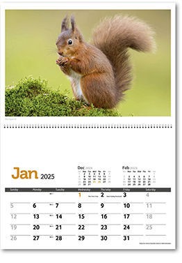 Wildlife in Britain Postage Saver Calendar