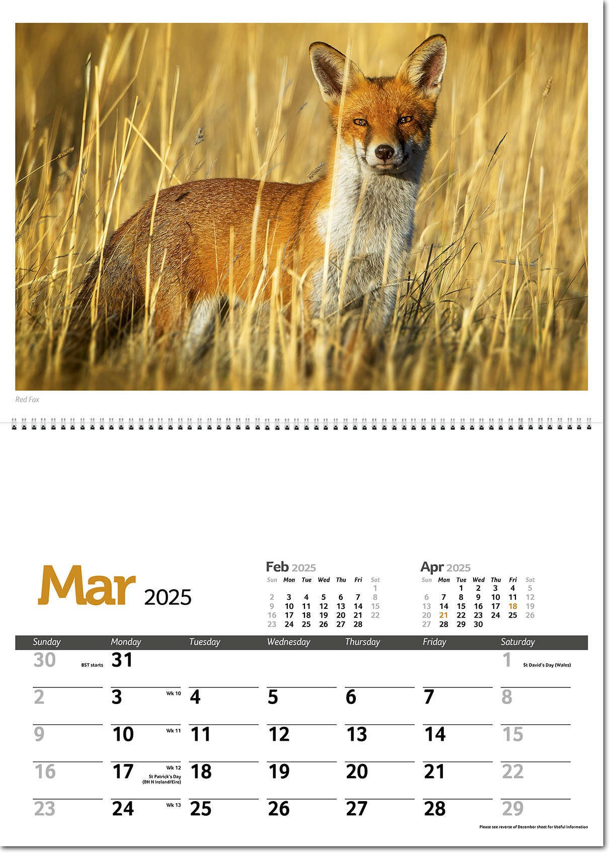 Wildlife in Britain Postage Saver Calendar