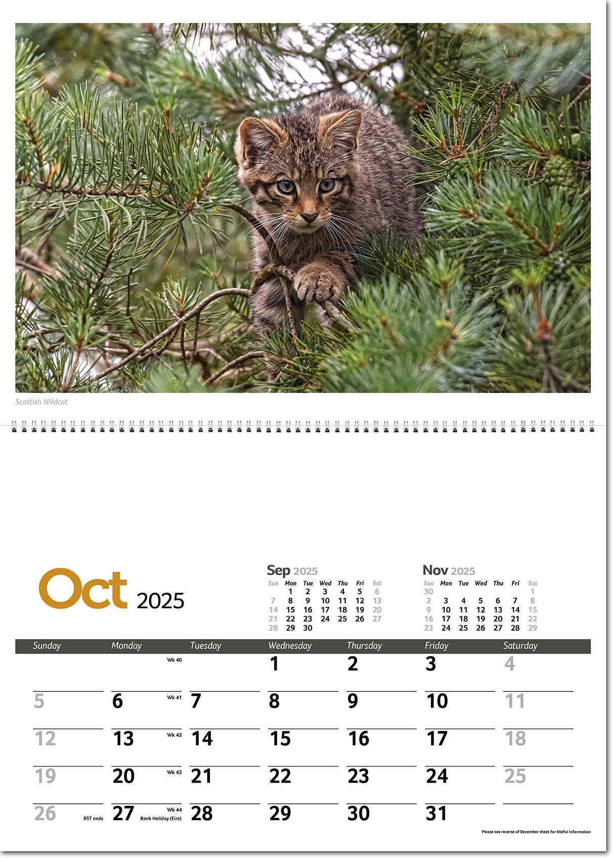 Wildlife in Britain Postage Saver Calendar