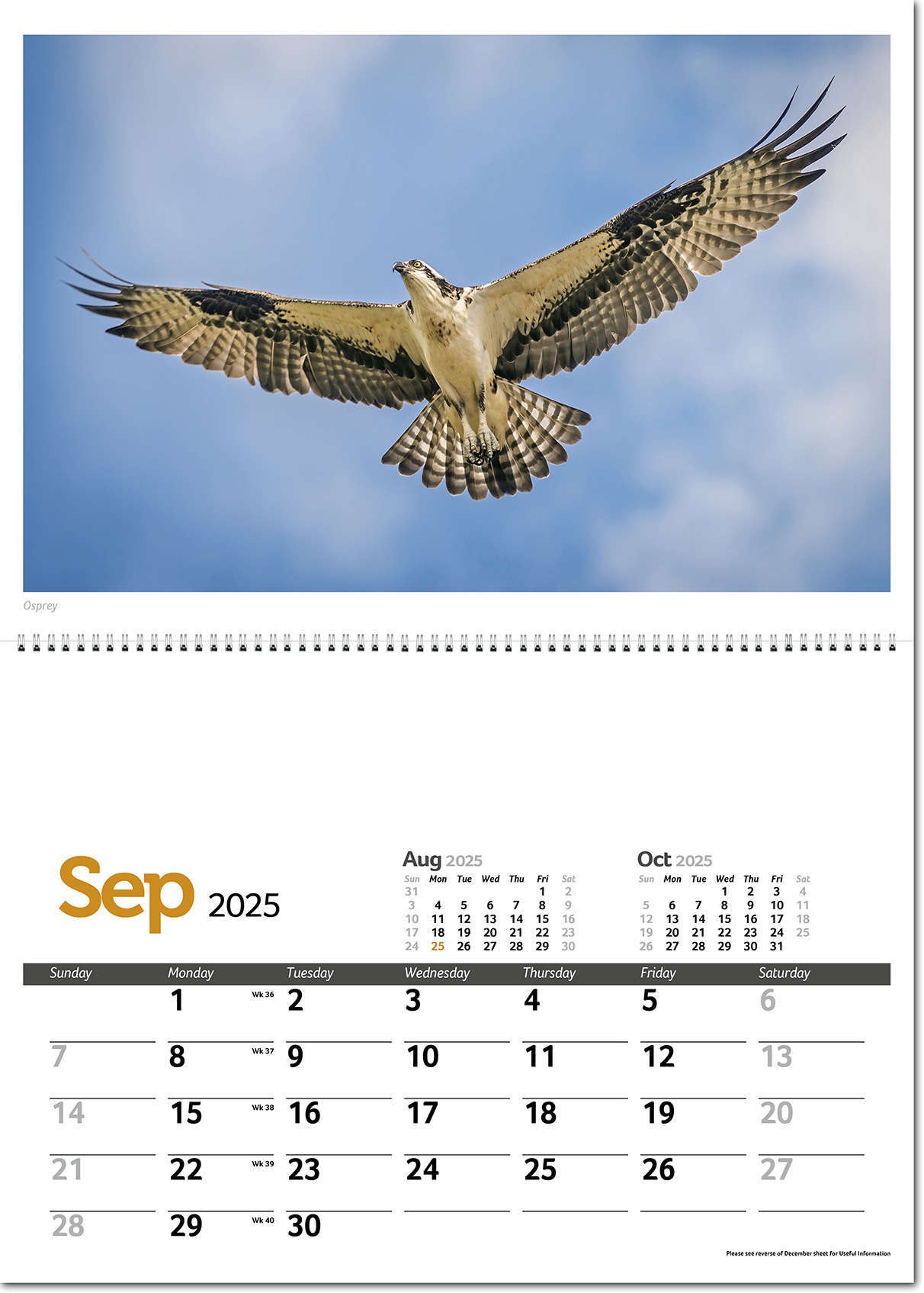 Wildlife in Britain Postage Saver Calendar