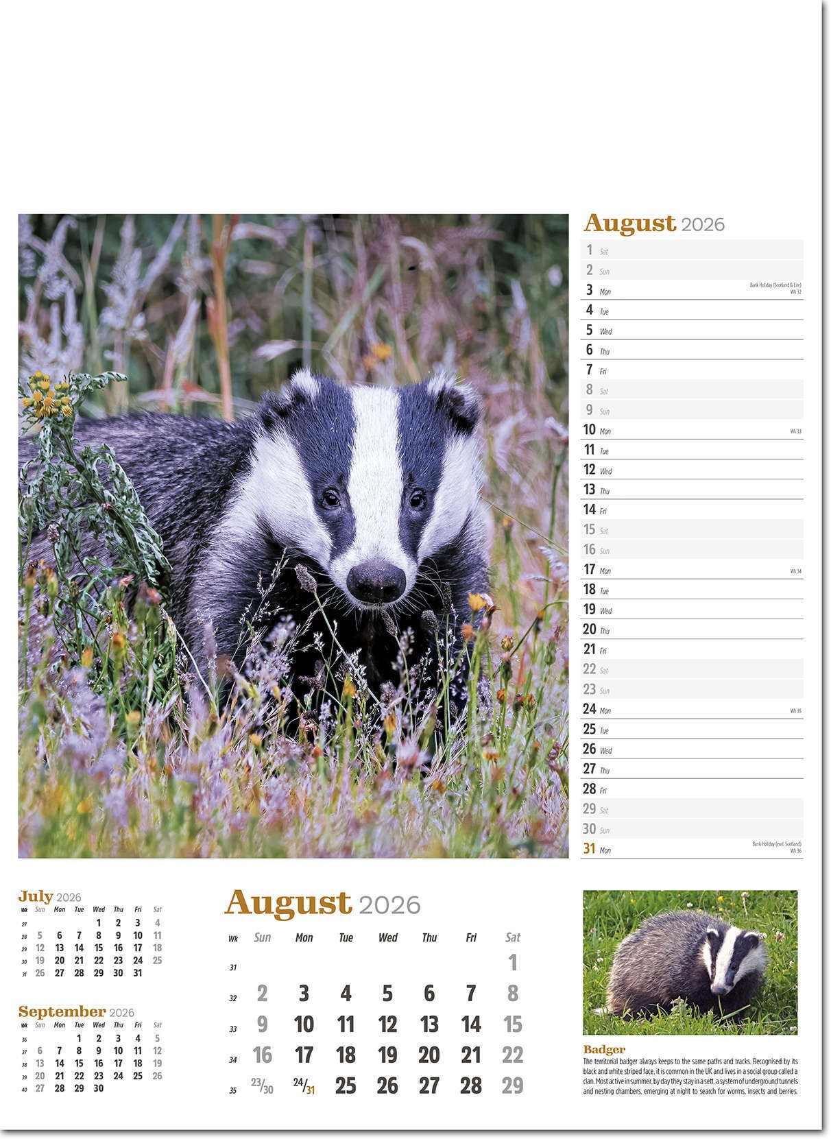 Wildlife in Britain Wall Calendar