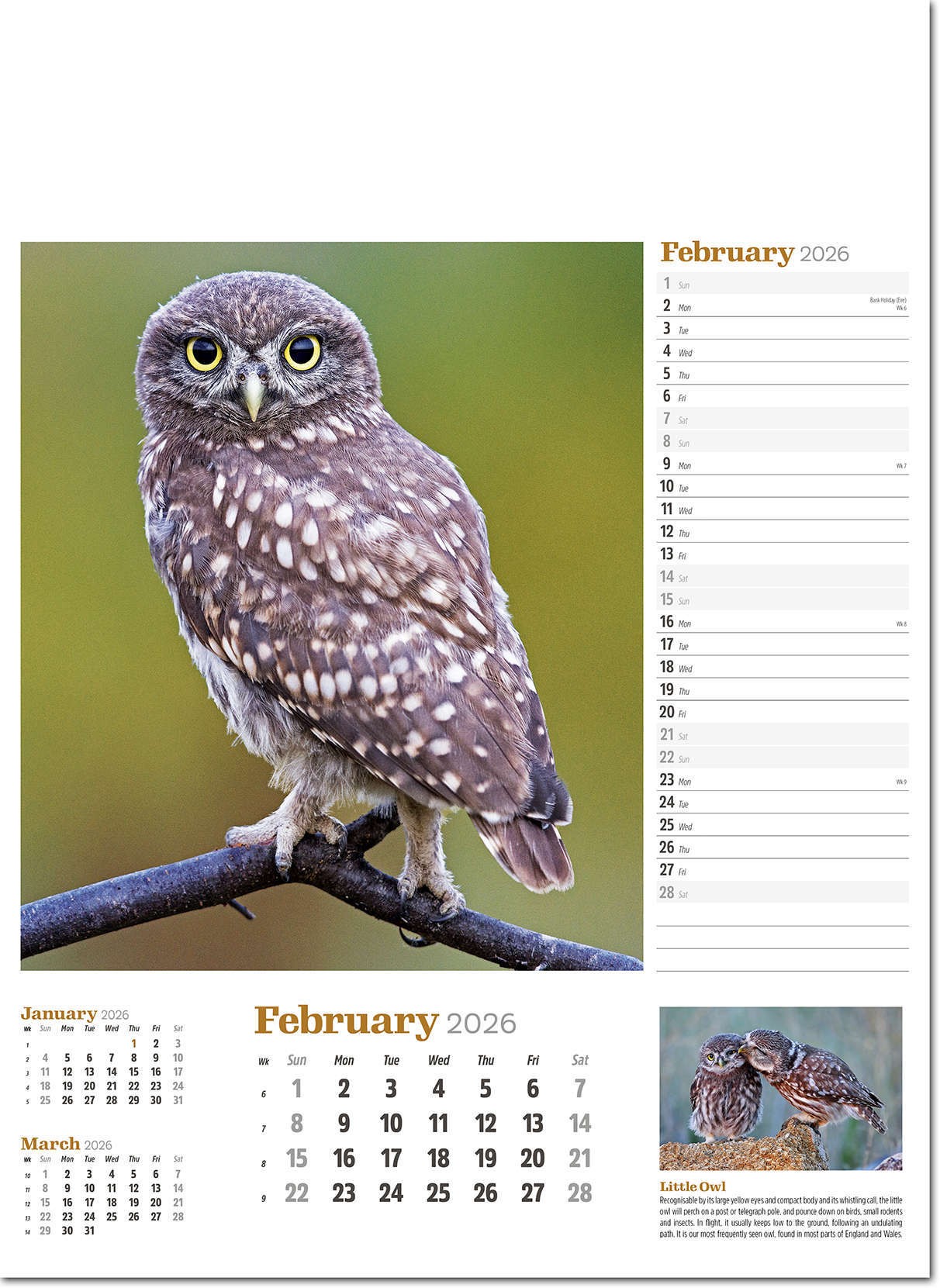 Wildlife in Britain Wall Calendar