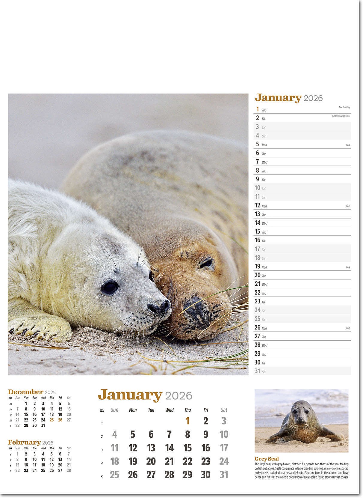 Wildlife in Britain Wall Calendar