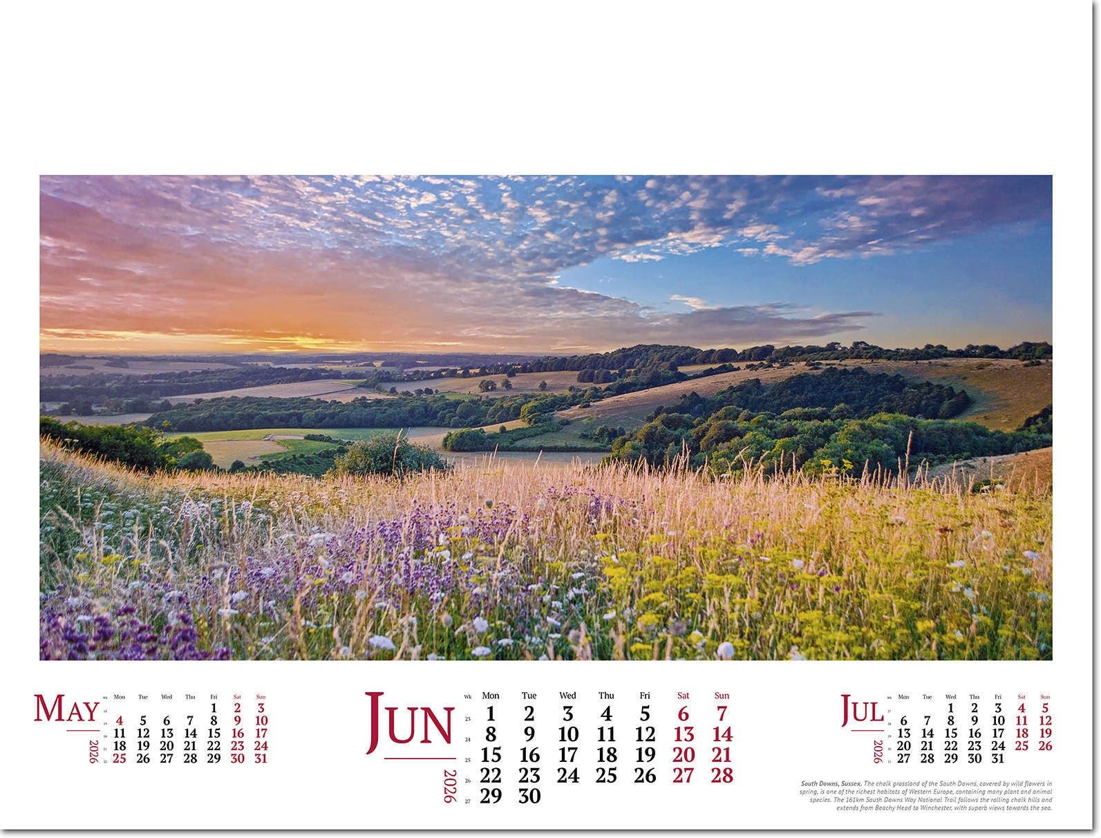 Wild Britain Wall Calendar