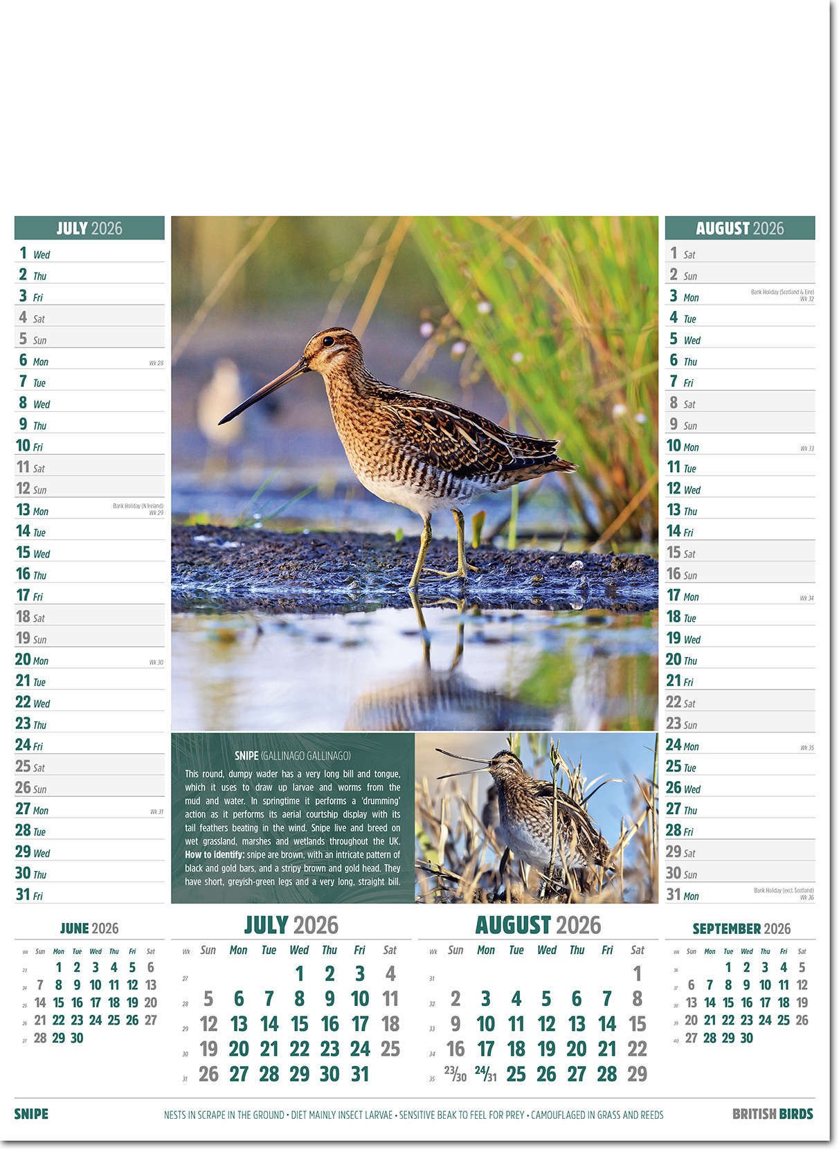 British Birds Calendar