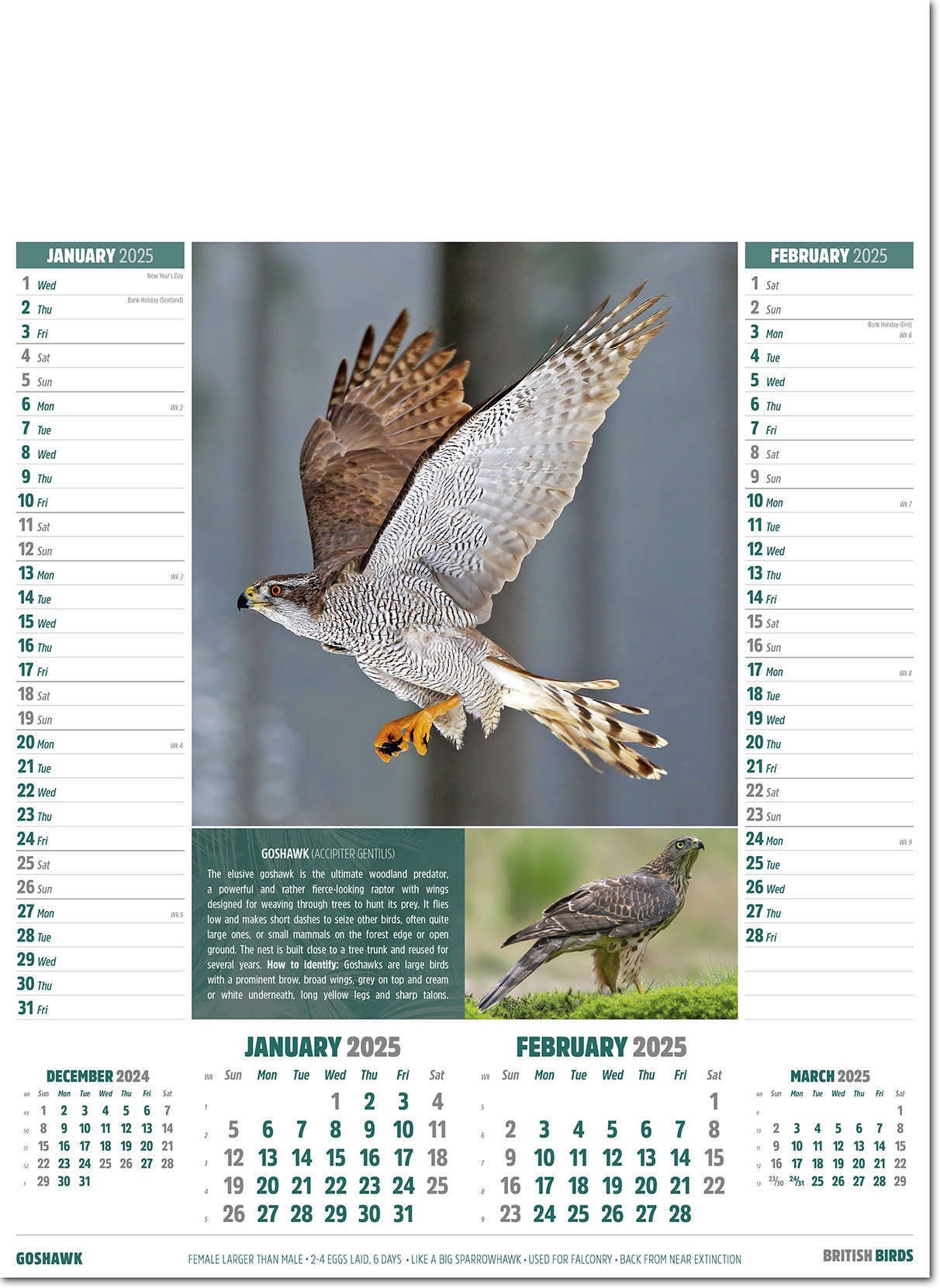 British Birds Calendar