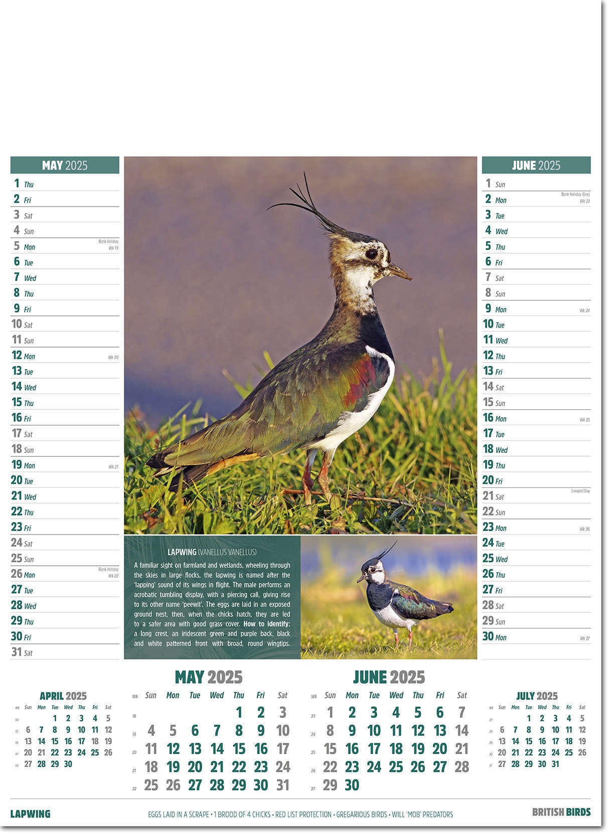 British Birds Calendar