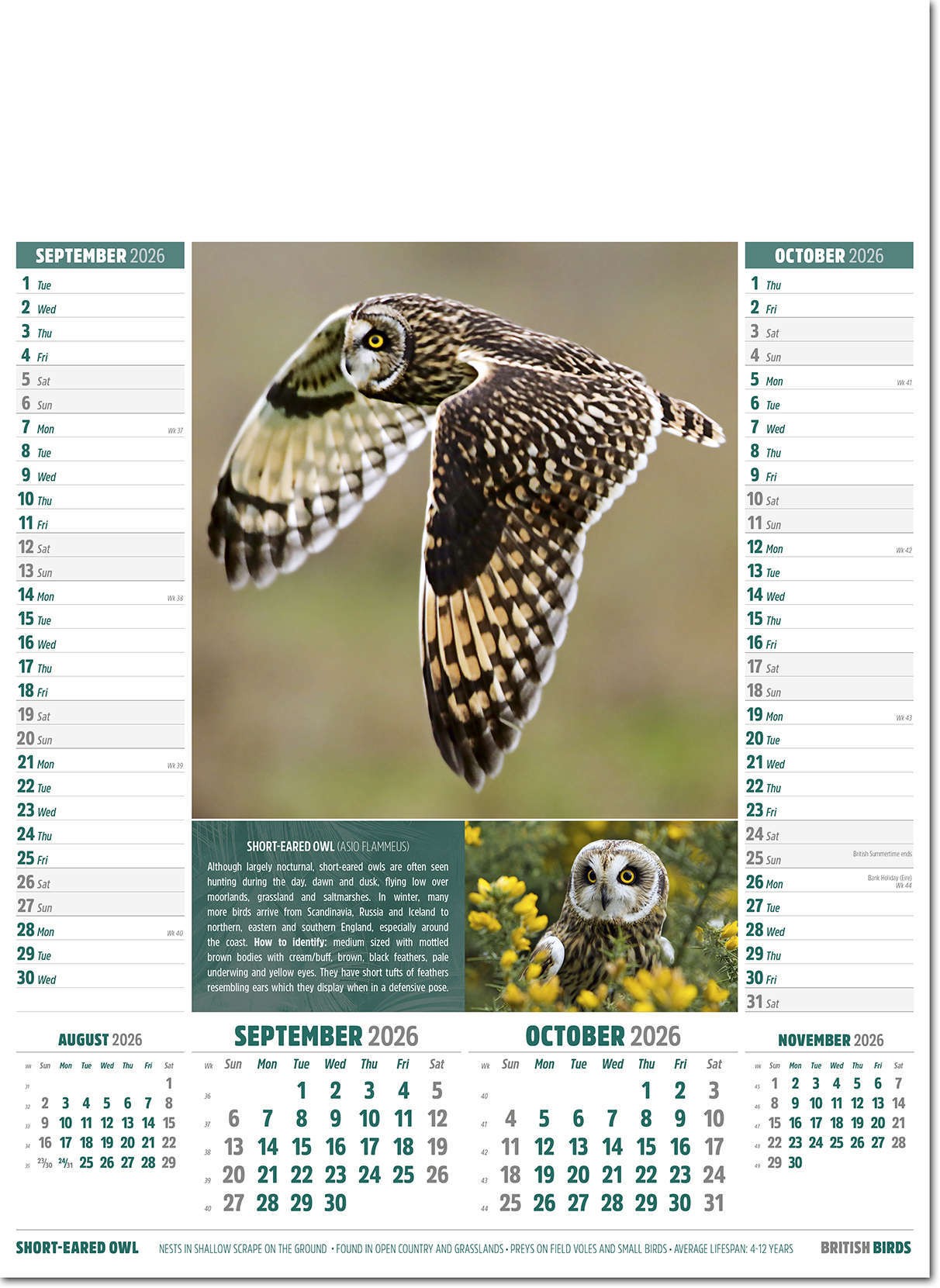 British Birds Calendar