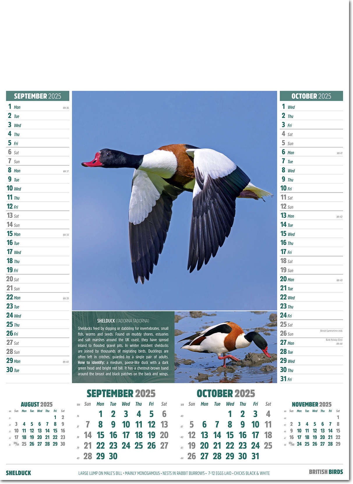 British Birds Calendar