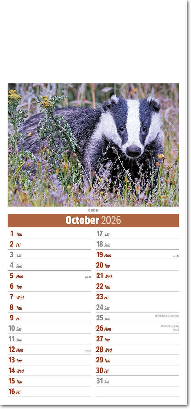 Slimline British Wildlife Compact Calendar